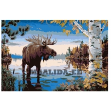 Maalid numbrite järgi RA028