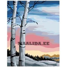 Maalid numbrite järgi RA111