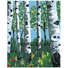 Maalid numbrite järgi RA112