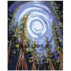 Maalid numbrite järgi RA117