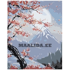 Maalid numbrite järgi RA128