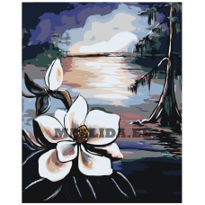 Maalid numbrite järgi RA135