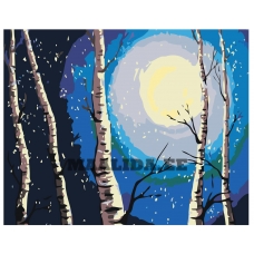 Maalid numbrite järgi RA146