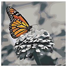 Maalid numbrite järgi RA155