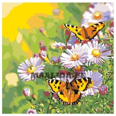 Maalid numbrite järgi RA156