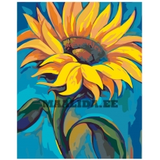 Maalid numbrite järgi RA211