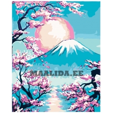 Maalid numbrite järgi RA223