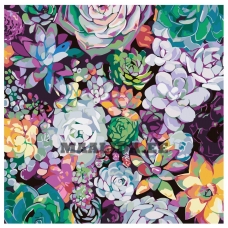 Maalid numbrite järgi RA241