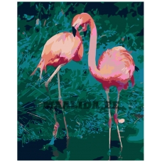 Maalid numbrite järgi RA243