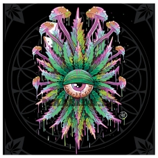 Maalid numbrite järgi RA254