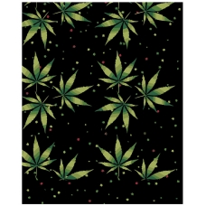 Maalid numbrite järgi RA259