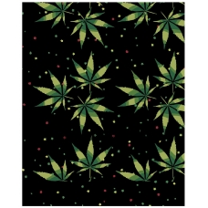 Maalid numbrite järgi RA261