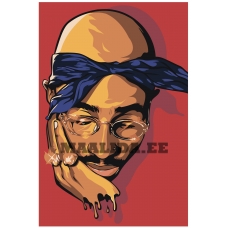 Maalid numbrite järgi RA318