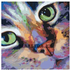 Maalid numbrite järgi RA353