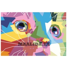 Maalid numbrite järgi RA362