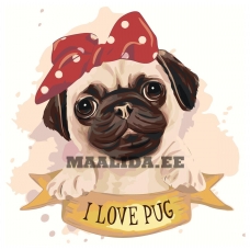 Maalid numbrite järgi RA374