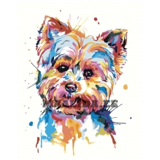 Maalid numbrite järgi RA375