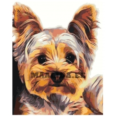 Maalid numbrite järgi RA377