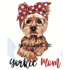 Maalid numbrite järgi RA378