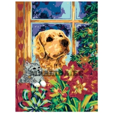 Maalid numbrite järgi RA43