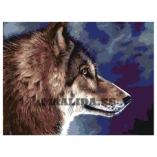 Maalid numbrite järgi RA44