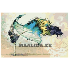 Maalid numbrite järgi RO112