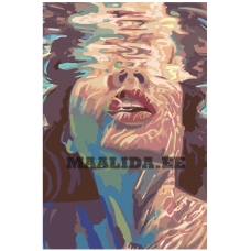 Maalid numbrite järgi RO121