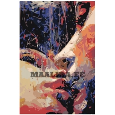 Maalid numbrite järgi RO153