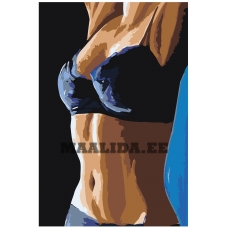 Maalid numbrite järgi RO155