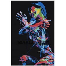 Maalid numbrite järgi RO169