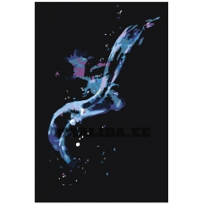 Maalid numbrite järgi RO175