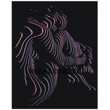 Maalid numbrite järgi RO195