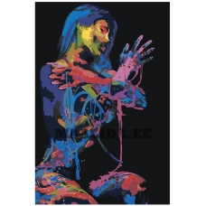 Maalid numbrite järgi RO204