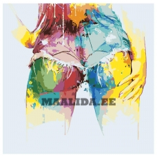 Maalid numbrite järgi RO206