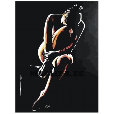 Maalid numbrite järgi RO212