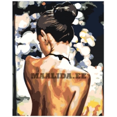 Maalid numbrite järgi RO236