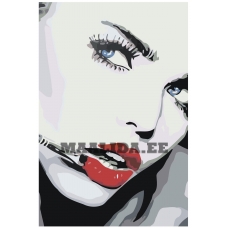 Maalid numbrite järgi RO243