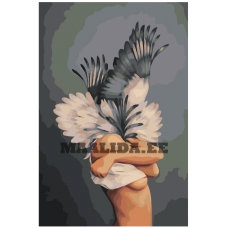 Maalid numbrite järgi RO259