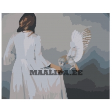 Maalid numbrite järgi RO268