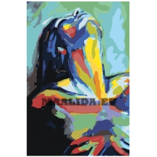 Maalid numbrite järgi RO270