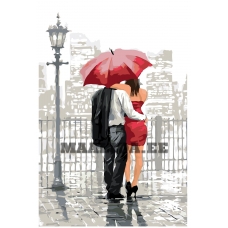 Maalid numbrite järgi RO35