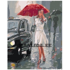 Maalid numbrite järgi RO89