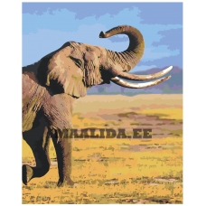 Maalid numbrite järgi ROOM-INDSL01