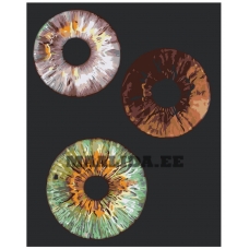 Maalid numbrite järgi ROOM-IZRAD01