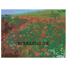 Maalid numbrite järgi RRBP-Z101743