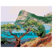 Maalid numbrite järgi RUS012