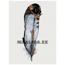 Maalid numbrite järgi TSVT-PERO1