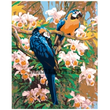 Maalid numbrite järgi W355