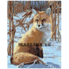 Maalid numbrite järgi W360