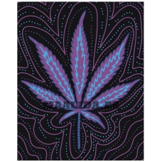 Maalid numbrite järgi WA23